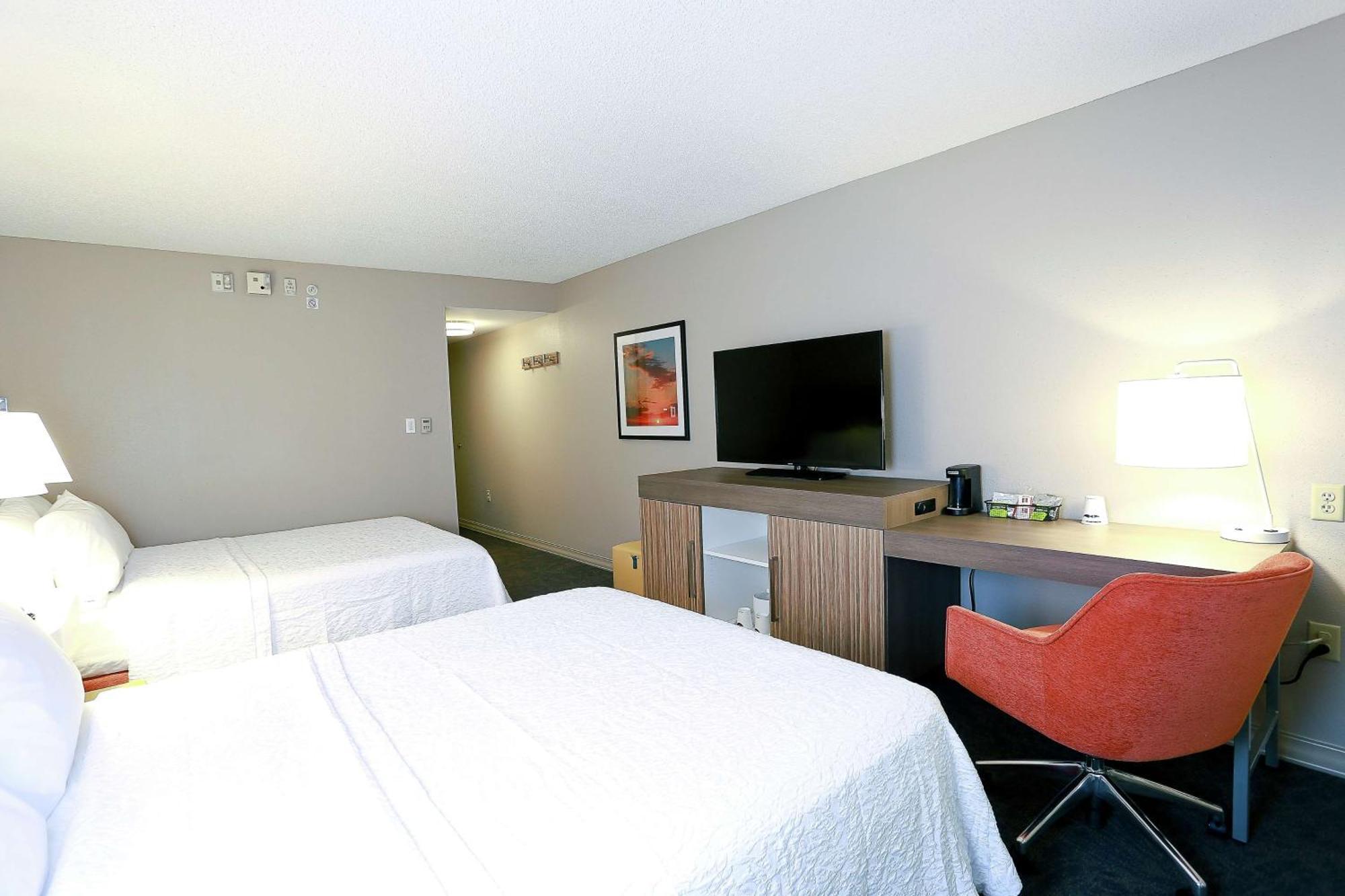 Hampton Inn & Suites Tampa-Уэсли-Чепел Экстерьер фото
