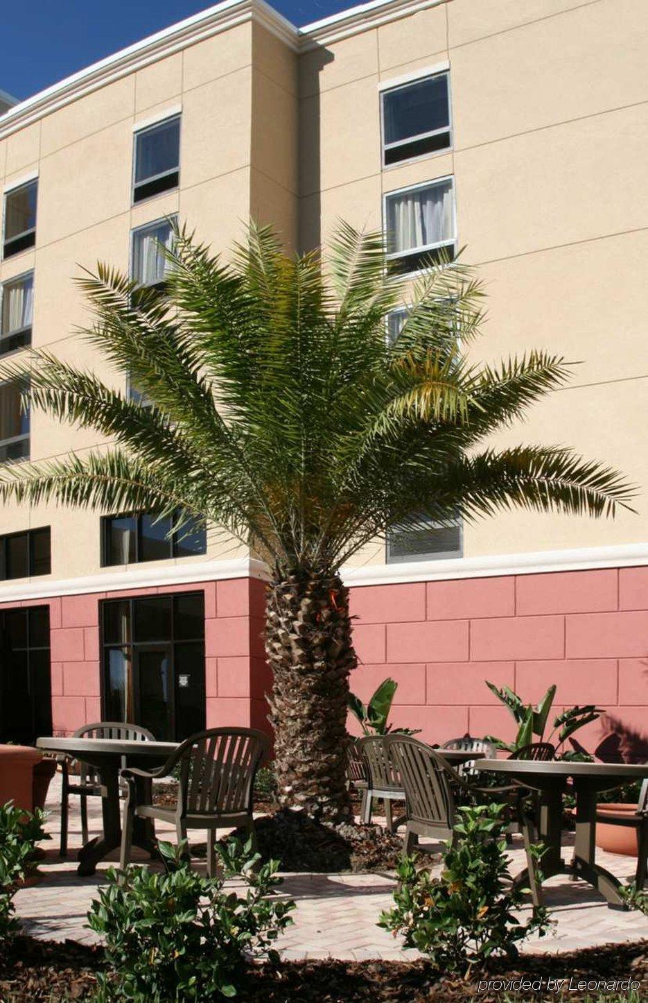 Hampton Inn & Suites Tampa-Уэсли-Чепел Экстерьер фото