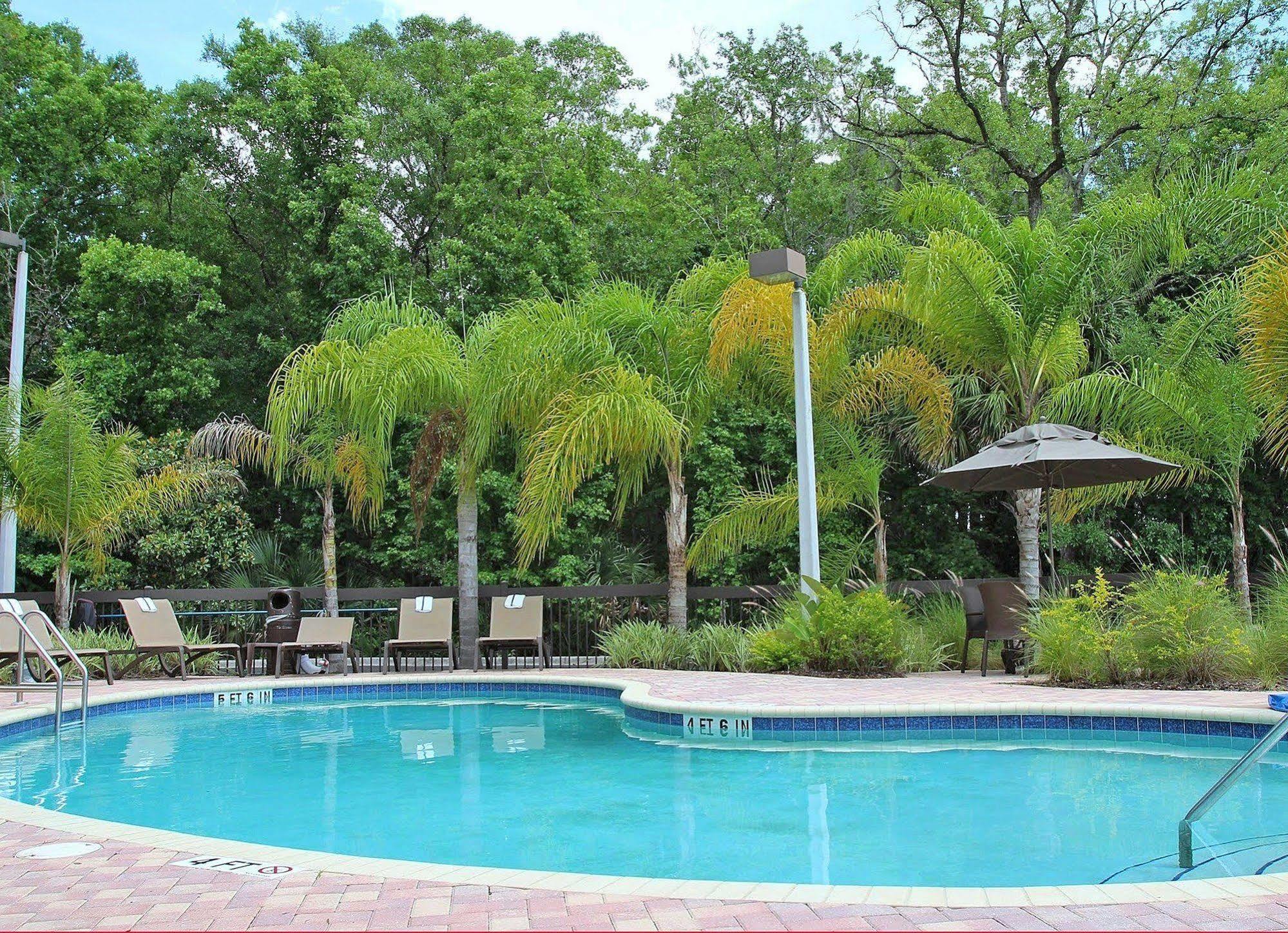 Hampton Inn & Suites Tampa-Уэсли-Чепел Экстерьер фото